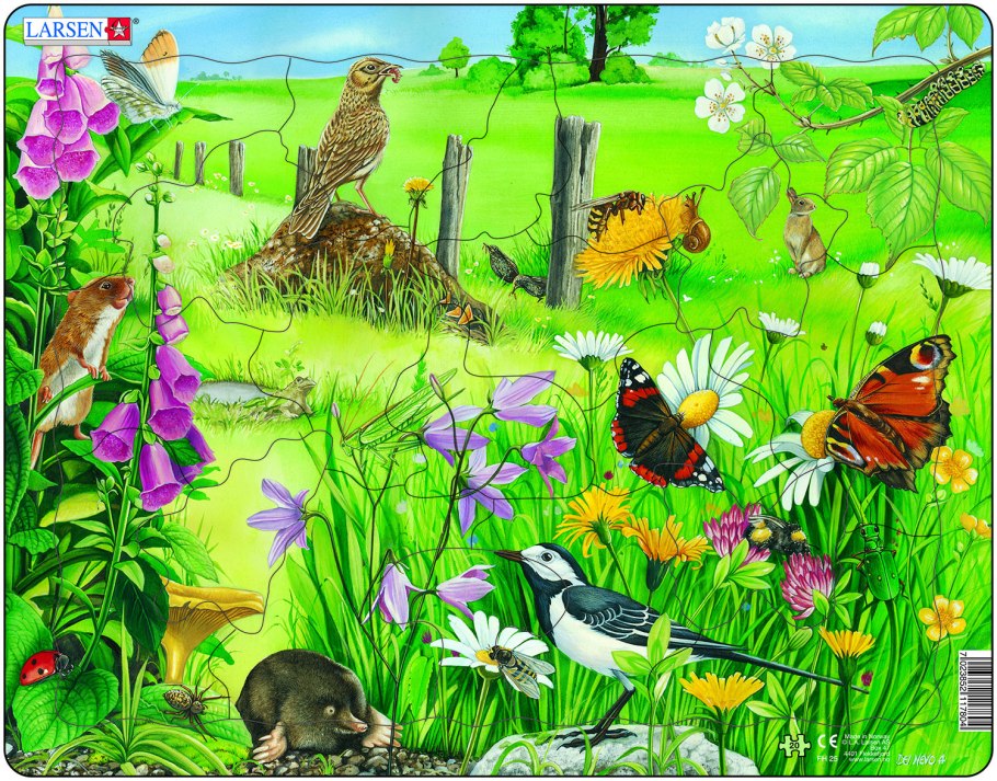 Памятник природы «луг Калуганово»