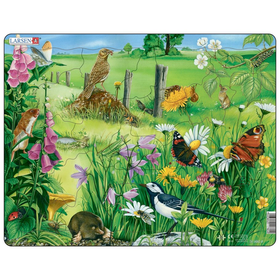 Луга Волгоградской области