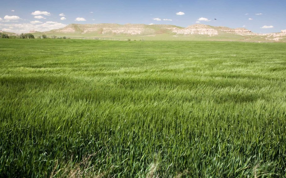 Луговой 2 Воскресенский район