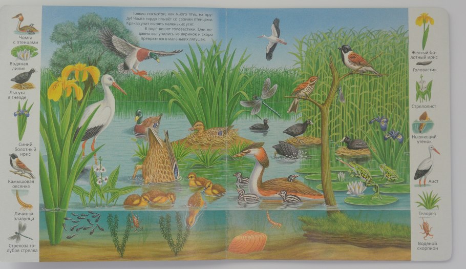 Производители в экосистеме