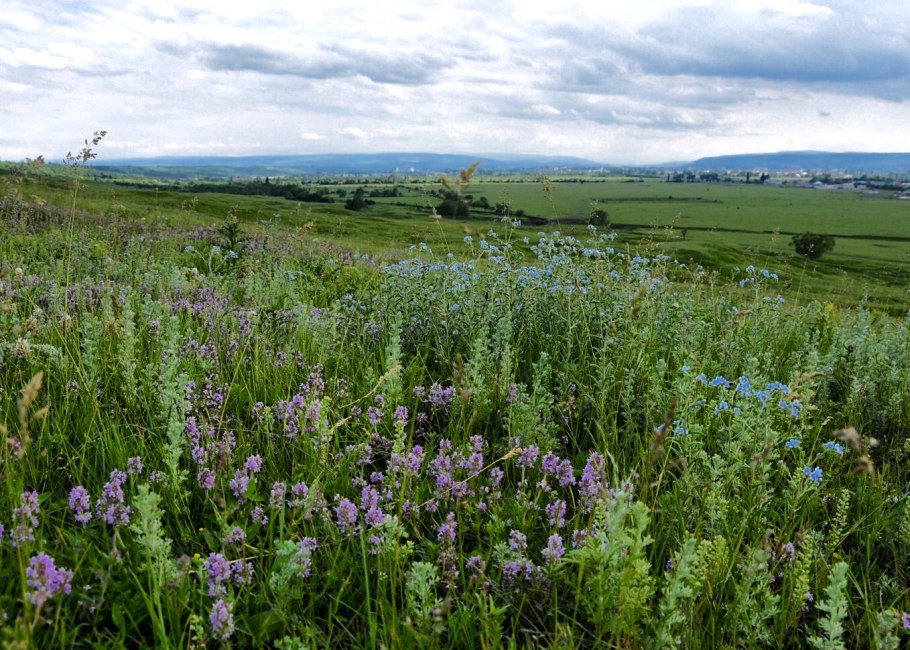 Joe Hautman художник