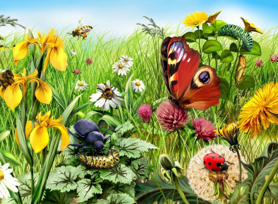 Луг Самилданах