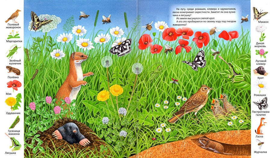 Буквозвери на русском