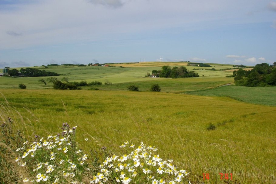 Степи умеренного пояса Евразии