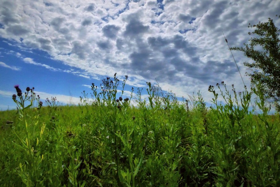 Larsen fh25 - природа fh25