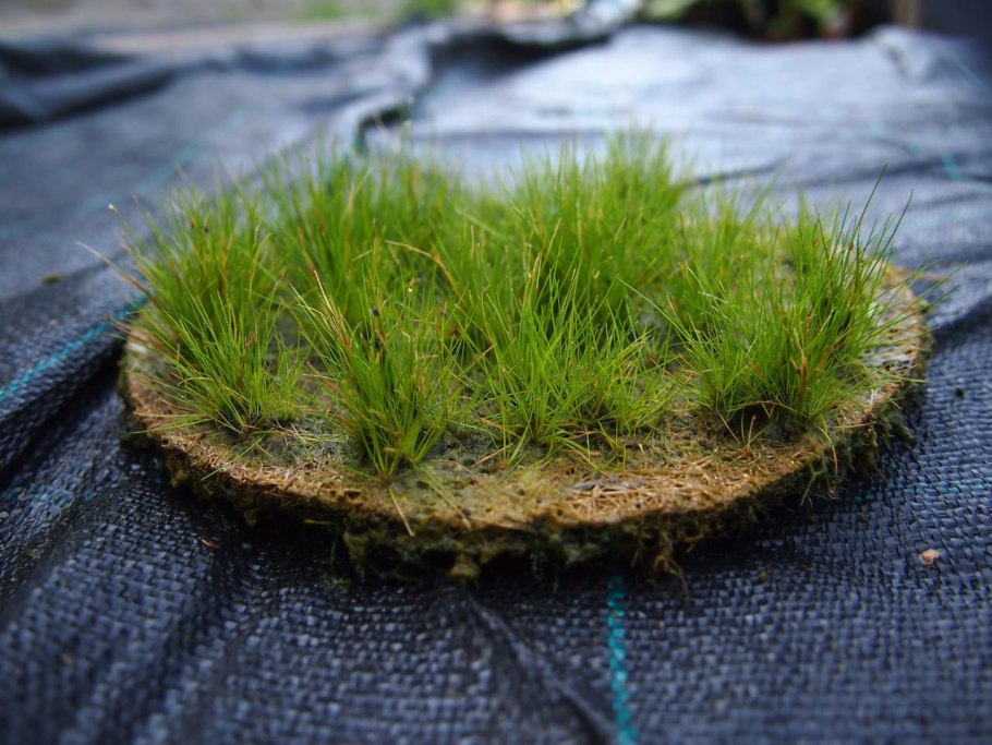 Монте Карло в аквариуме