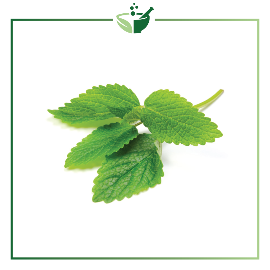 Мелисса Коксик