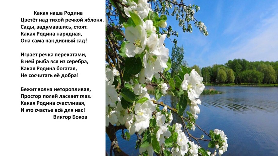 Японская поэзия хокку про сакуру