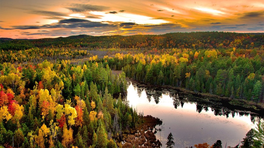 Таёжные леса в Кузнецком Алатау