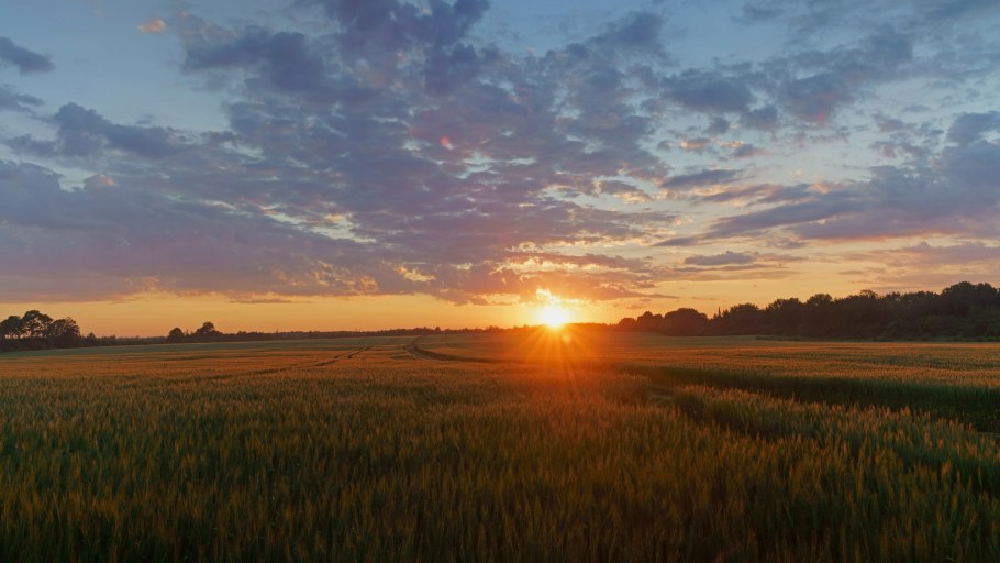Закат поле лес
