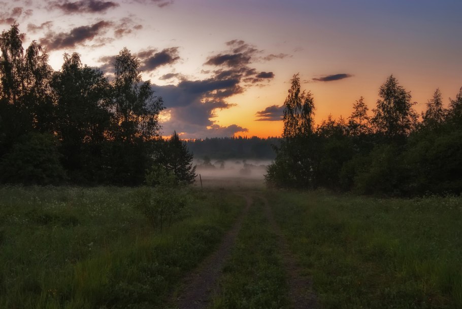 Поле лес вечер