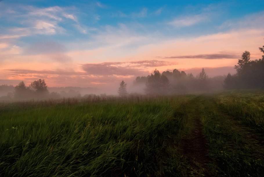 Поле рассвет туман