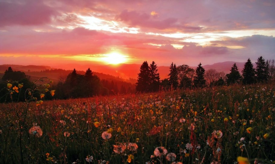 Природа закат