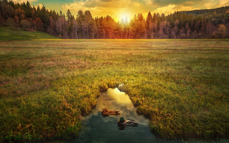 Закат в лесу