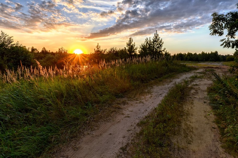 Утро природа