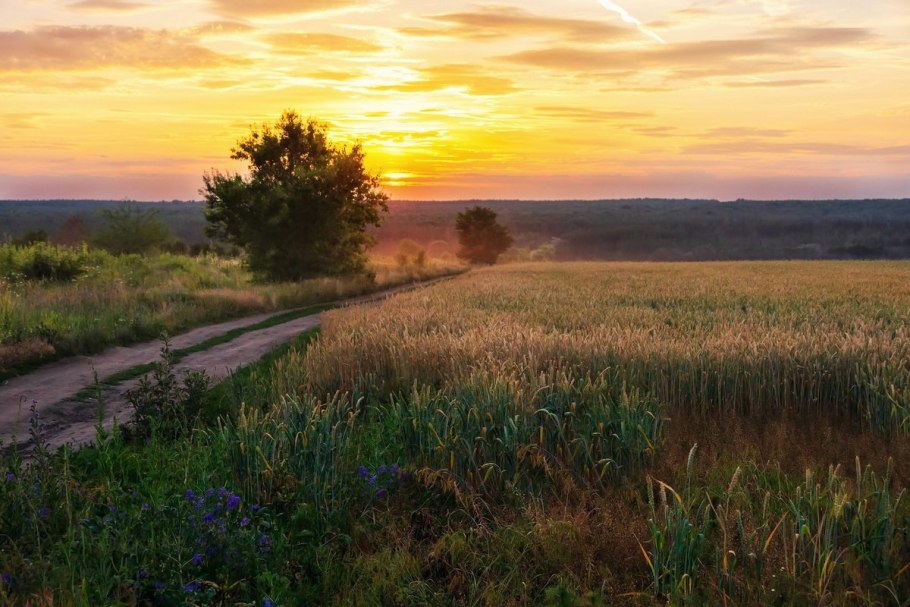 Закат на Холме