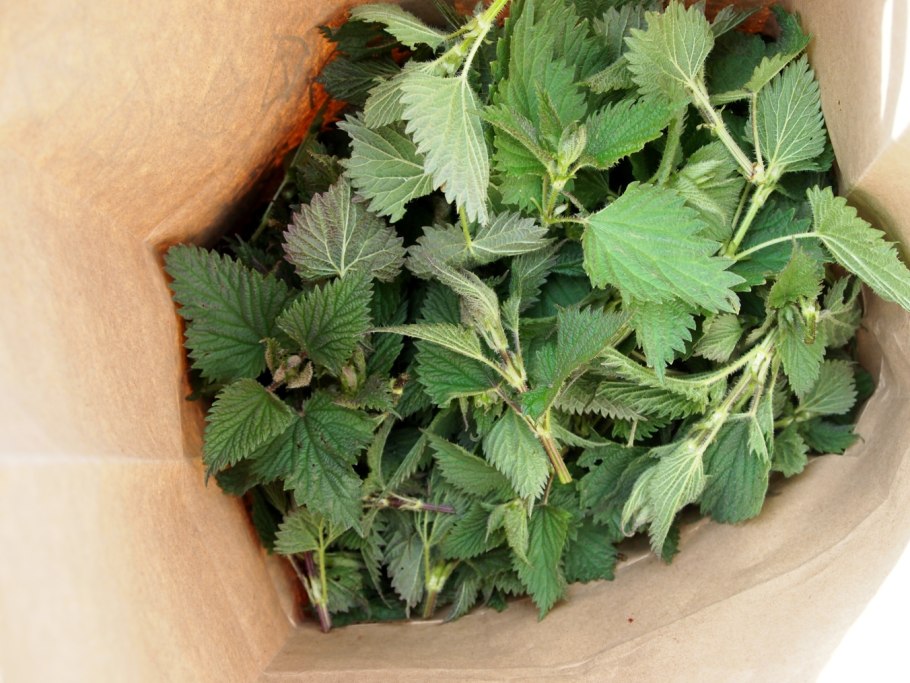 Эта крапива замаскирована мятой