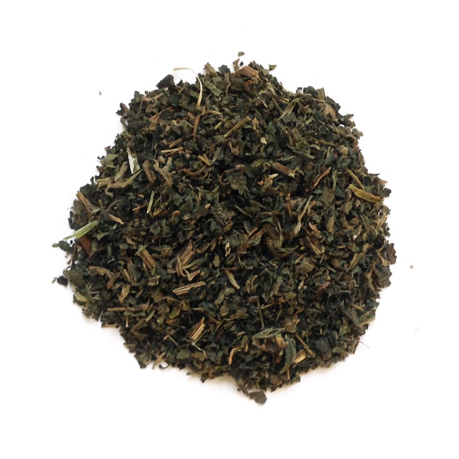 Крапива двудомная фото