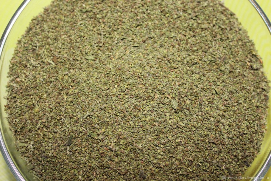 Семена крапивы для посева