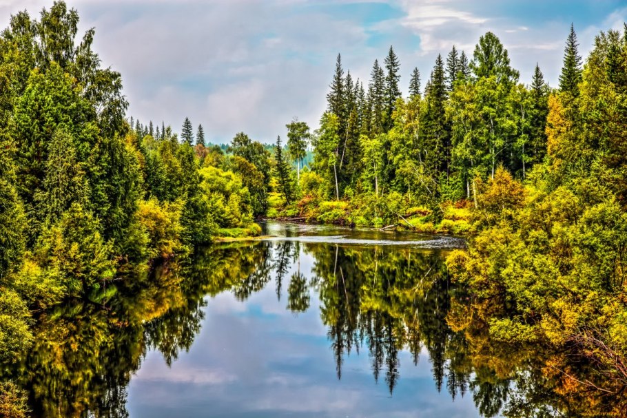 Сарматский смешанный лес