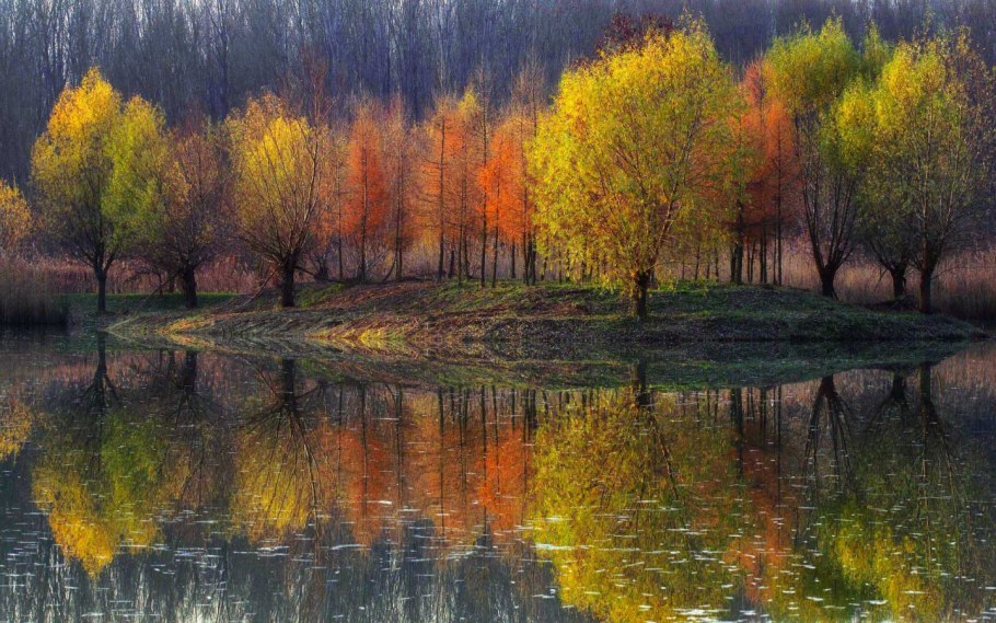 Осенние краски природы