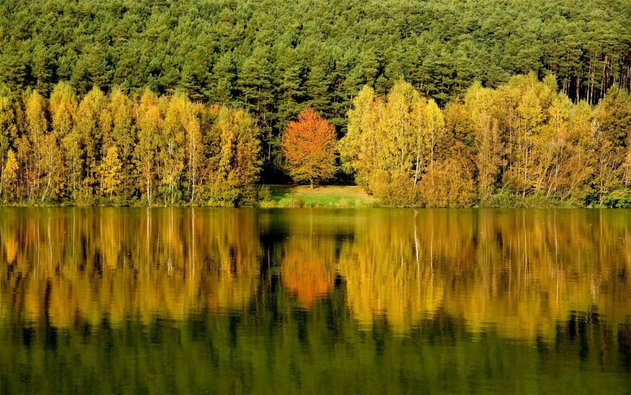 Осень лес озеро