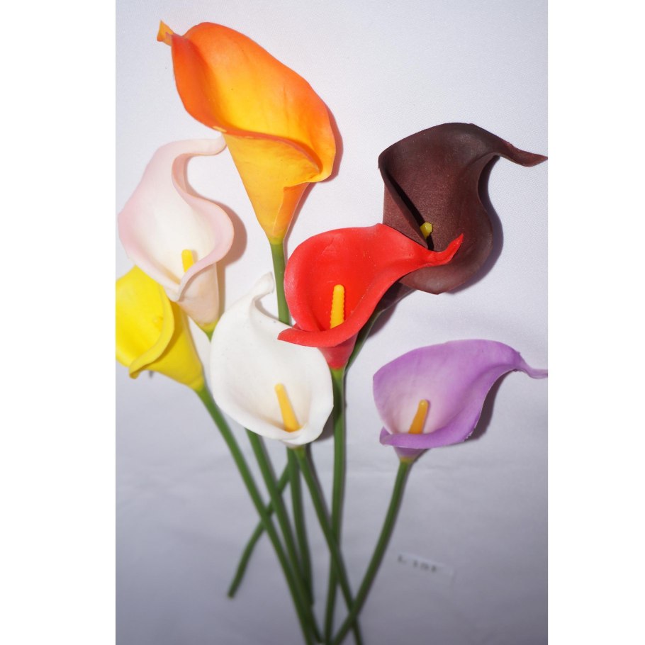 Калла Капитан Мелроуз