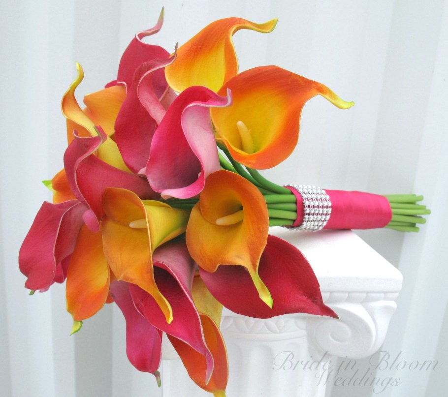 Калла Фламинго