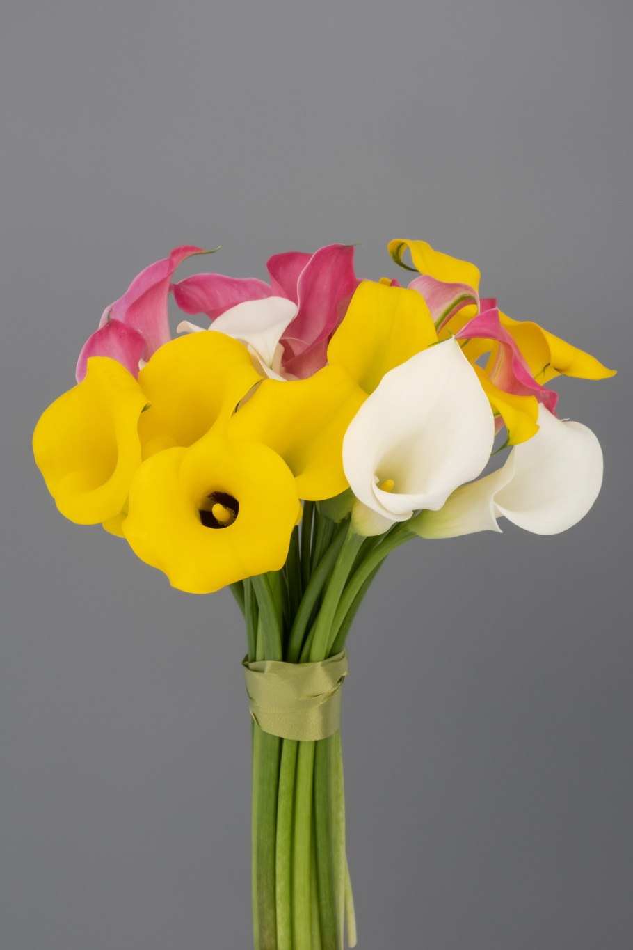 Зантедеския (Калла) (Zantedeschia)