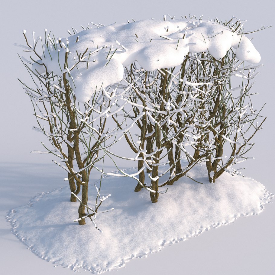 Заснеженные кусты