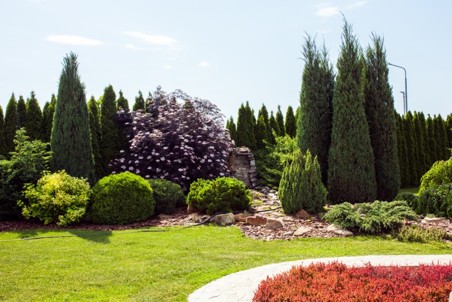 Розовый сад питомник Краснодар