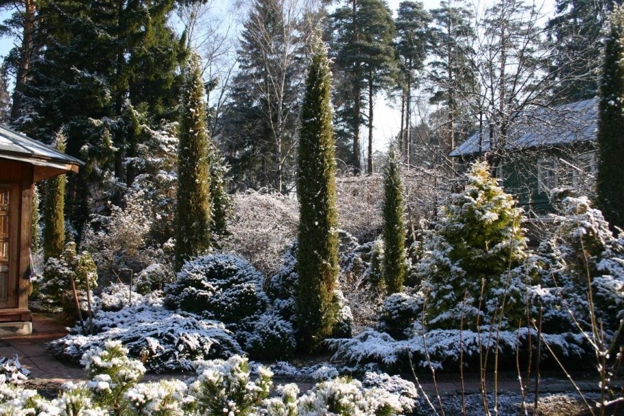 Сад Владимира Колесника