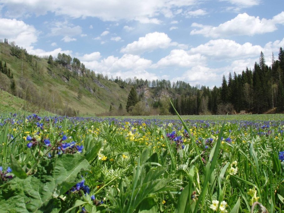 Кузнецкий Алатау заповедник Междуреченск