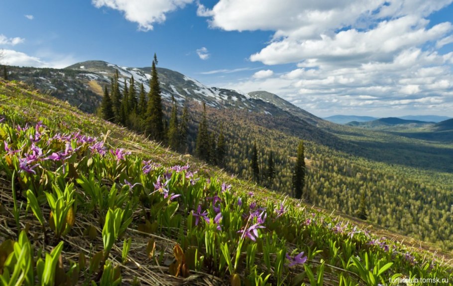 Кузедеево Кемеровская область