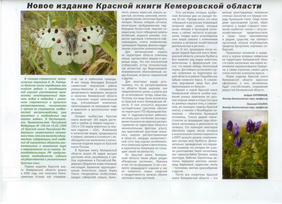 Стручковые растения Кемеровской области