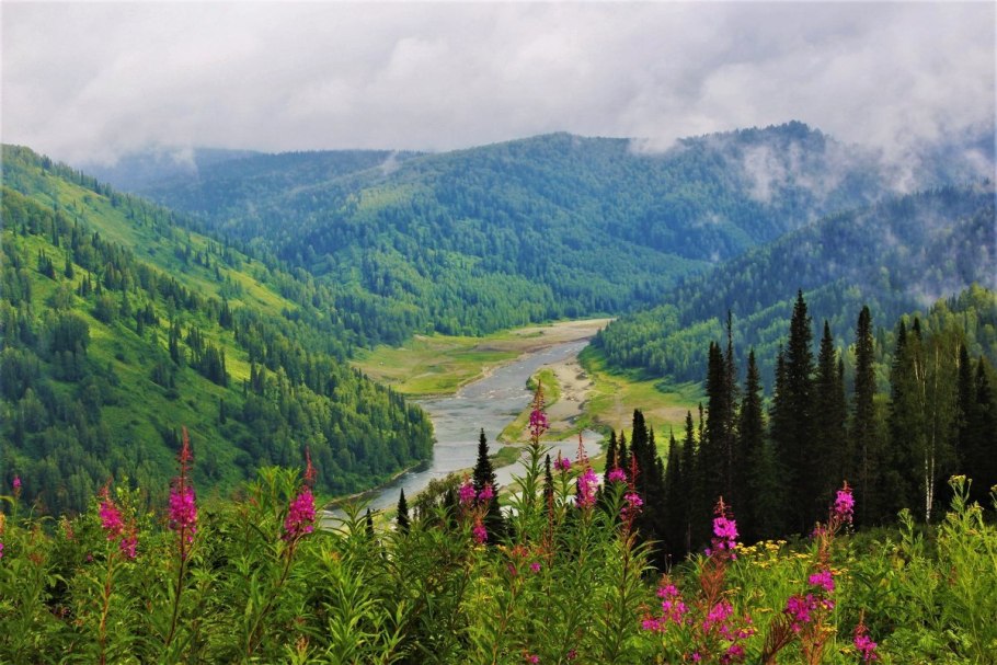 Карта почв Кемеровской области