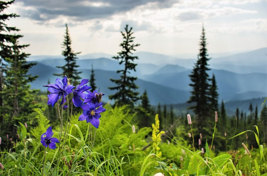 Кузнецкий Алатау Междуреченск