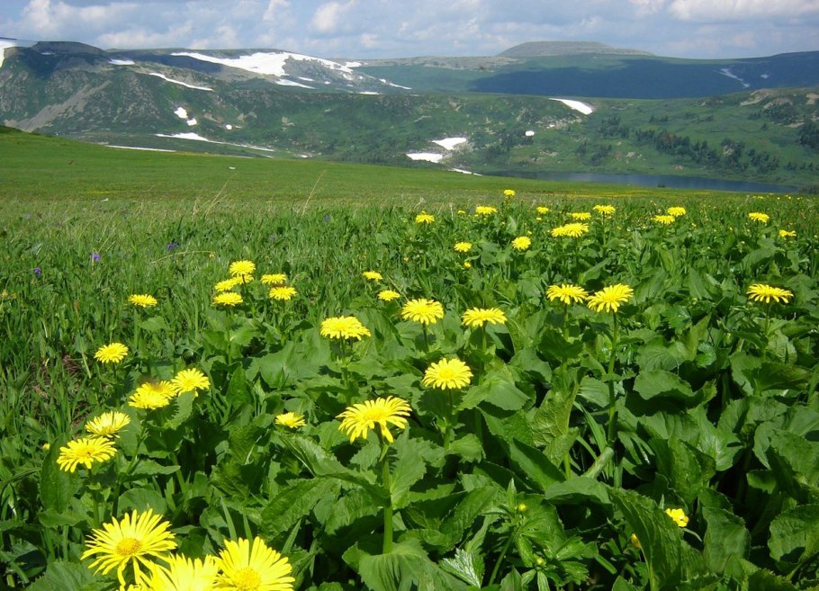 Кузнецкий Алатау Междуреченск