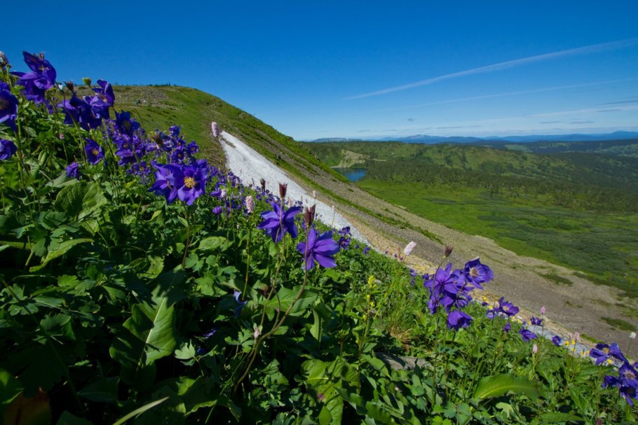 Рельеф и растительность Кемеровской области