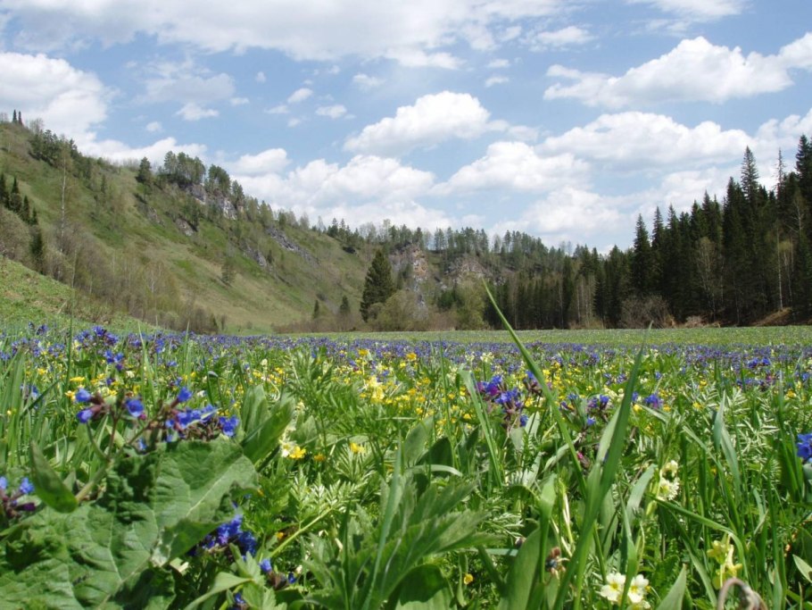 Горная шория кузнецкий алатау