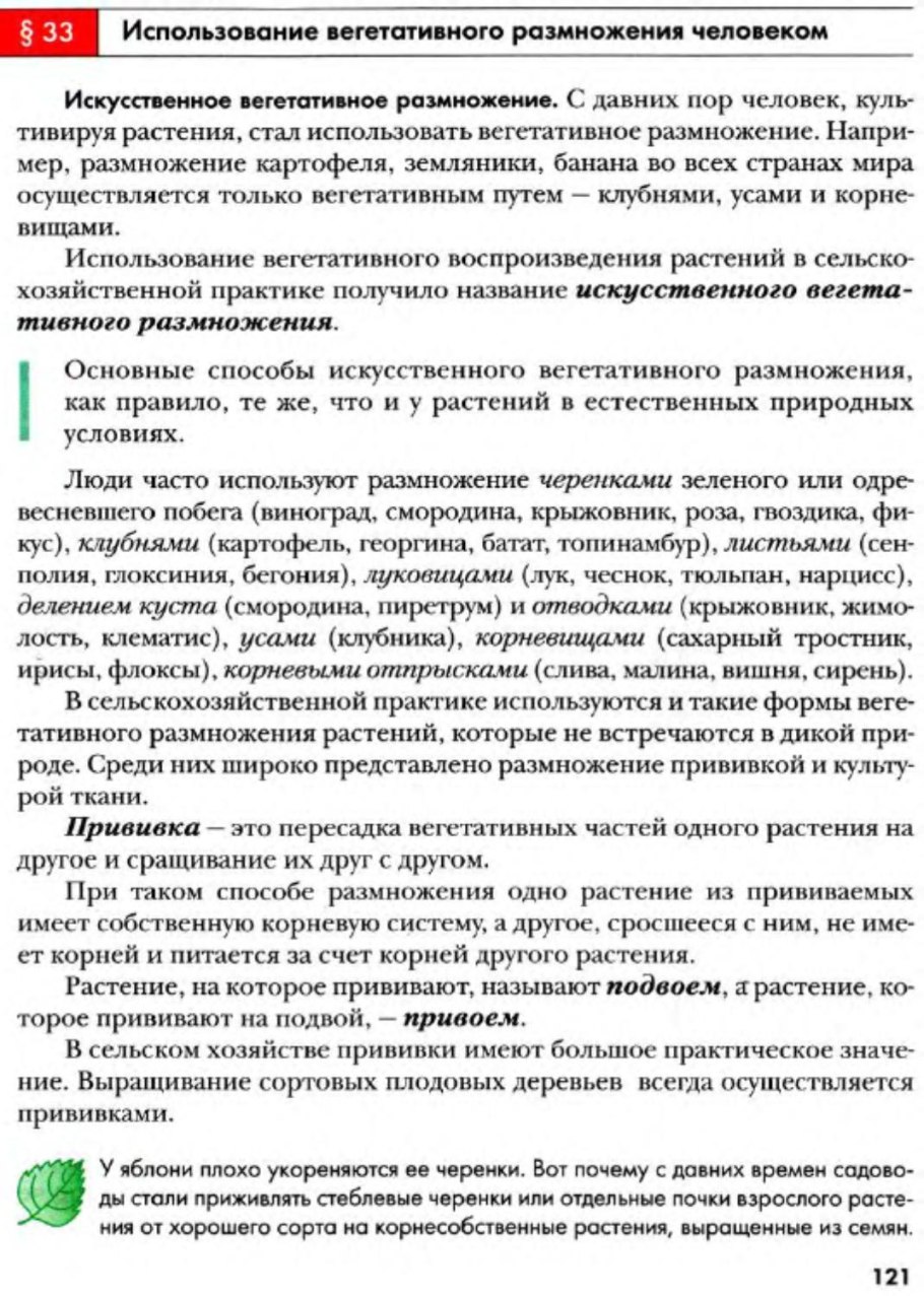 Прививки растений