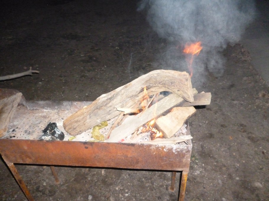 Саксаул древесина спил