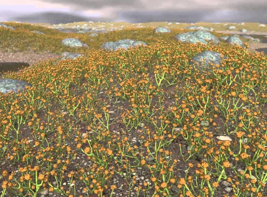 Барагванатия силурийский период