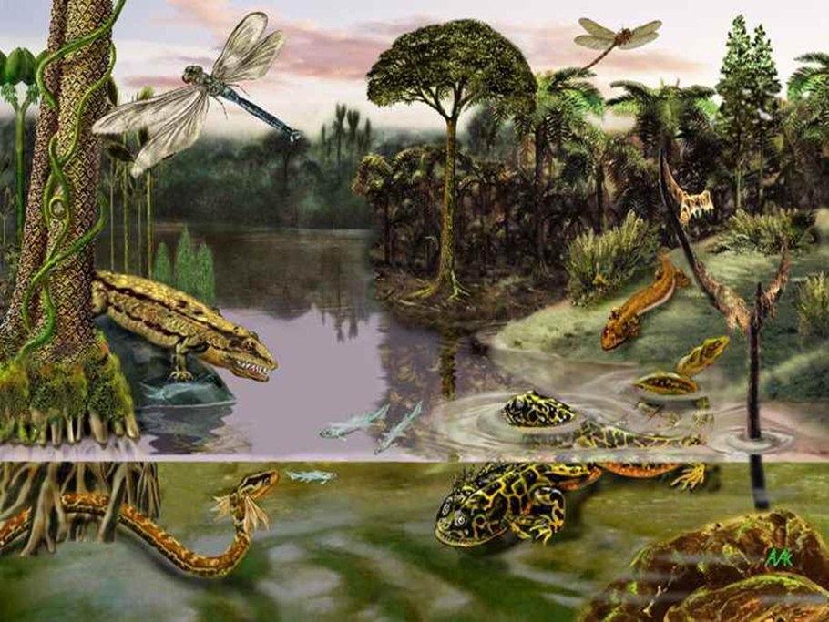 Плауны Палеозойская Эра