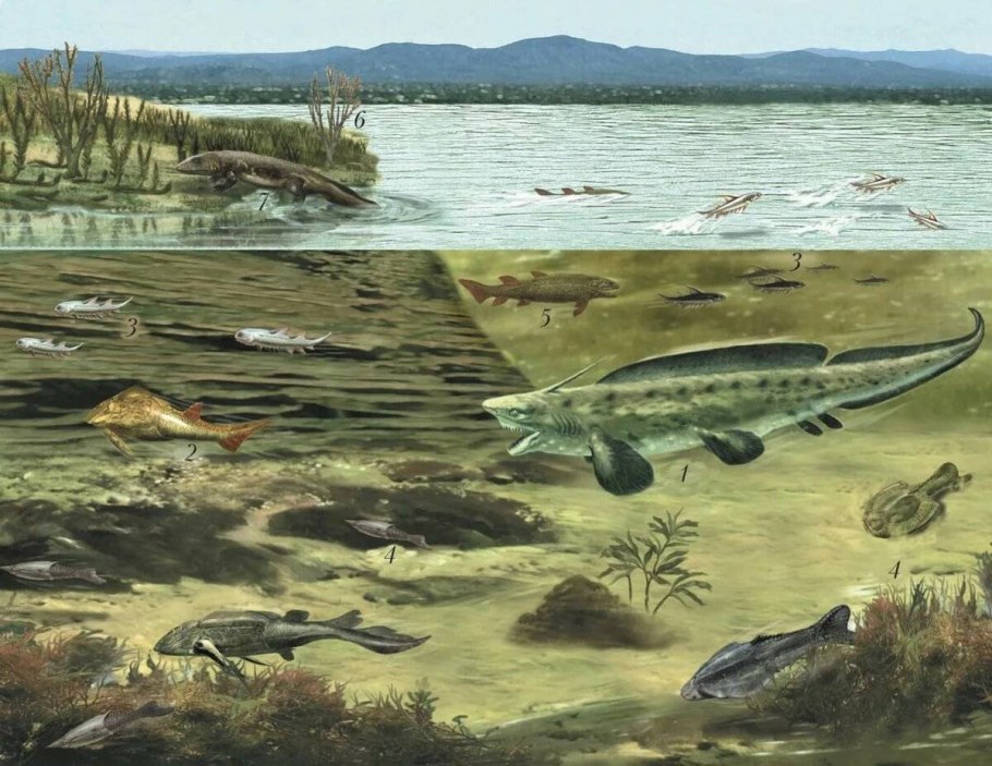 Протерозойская Эра Кембрий