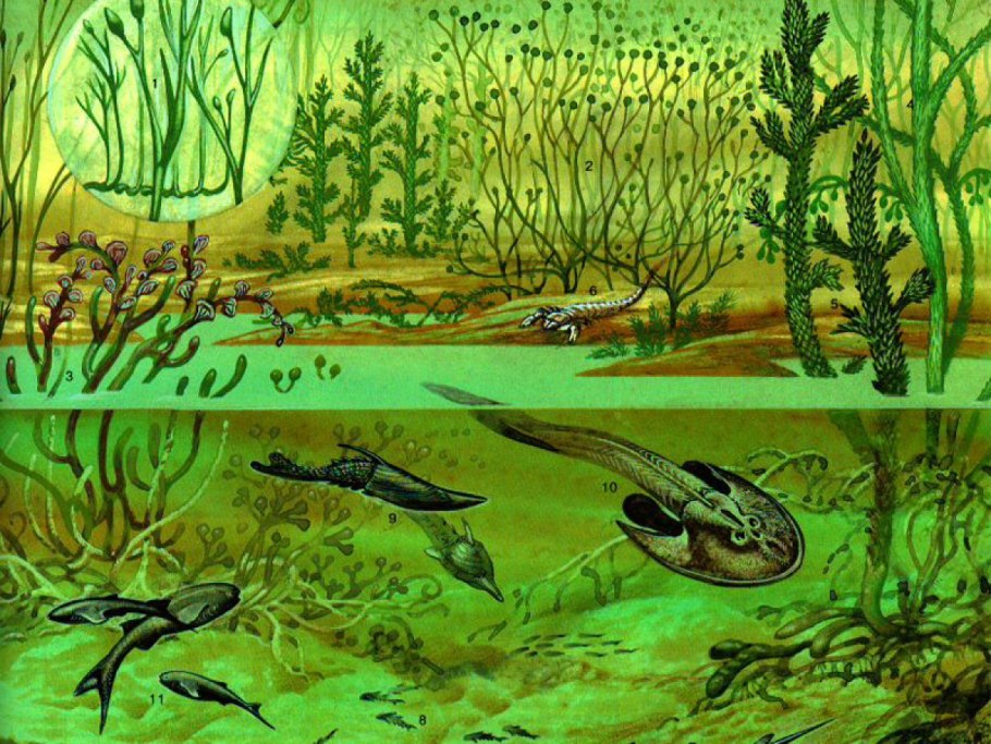 Палеозойская Эра силурийский период животные