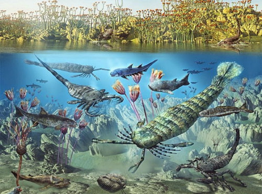 Трава в пустыне