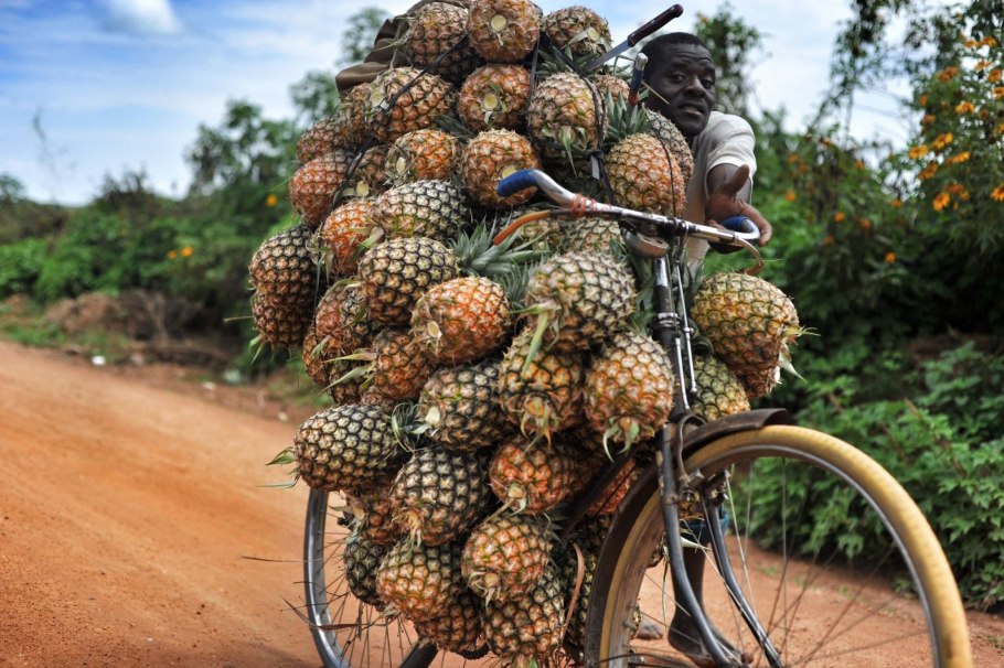 Ананасы в Африке