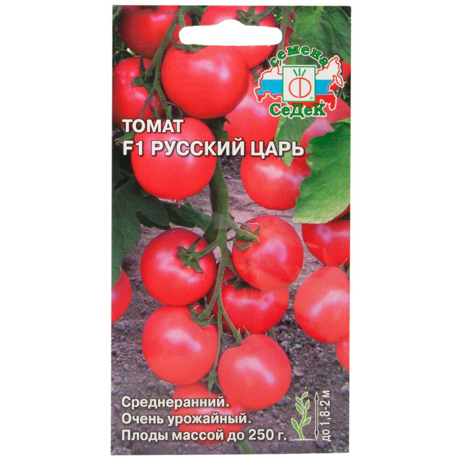 Семена Алтая томаты