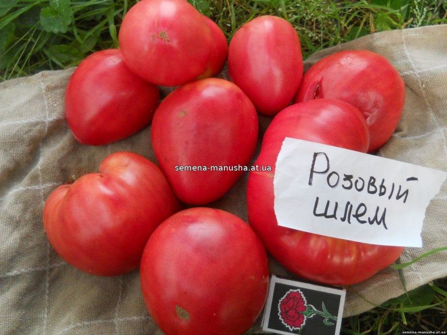 Томат Рыжик (0,1 грамм) Гавриш